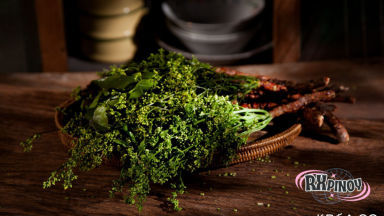 สะเดาสรรพคุณรสขมที่อาจเป็นยาข้อที่ควรรู้เกี่ยวกับประโยชน์